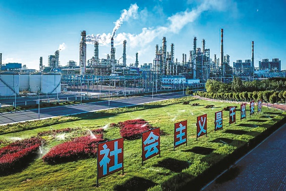 ����ᡤjinnian(�й�)�ٷ���վ